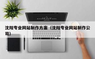 高唐沈阳专业网站制作方案（沈阳专业网站制作公司）
